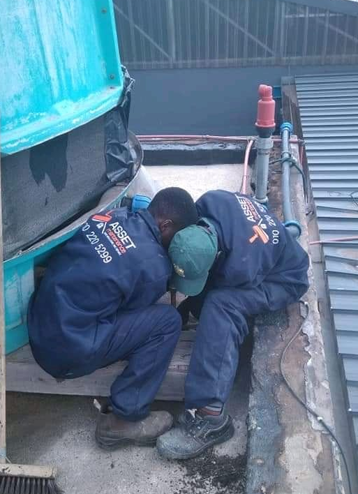 Asset Maintenance - Roofing Services and Repairs